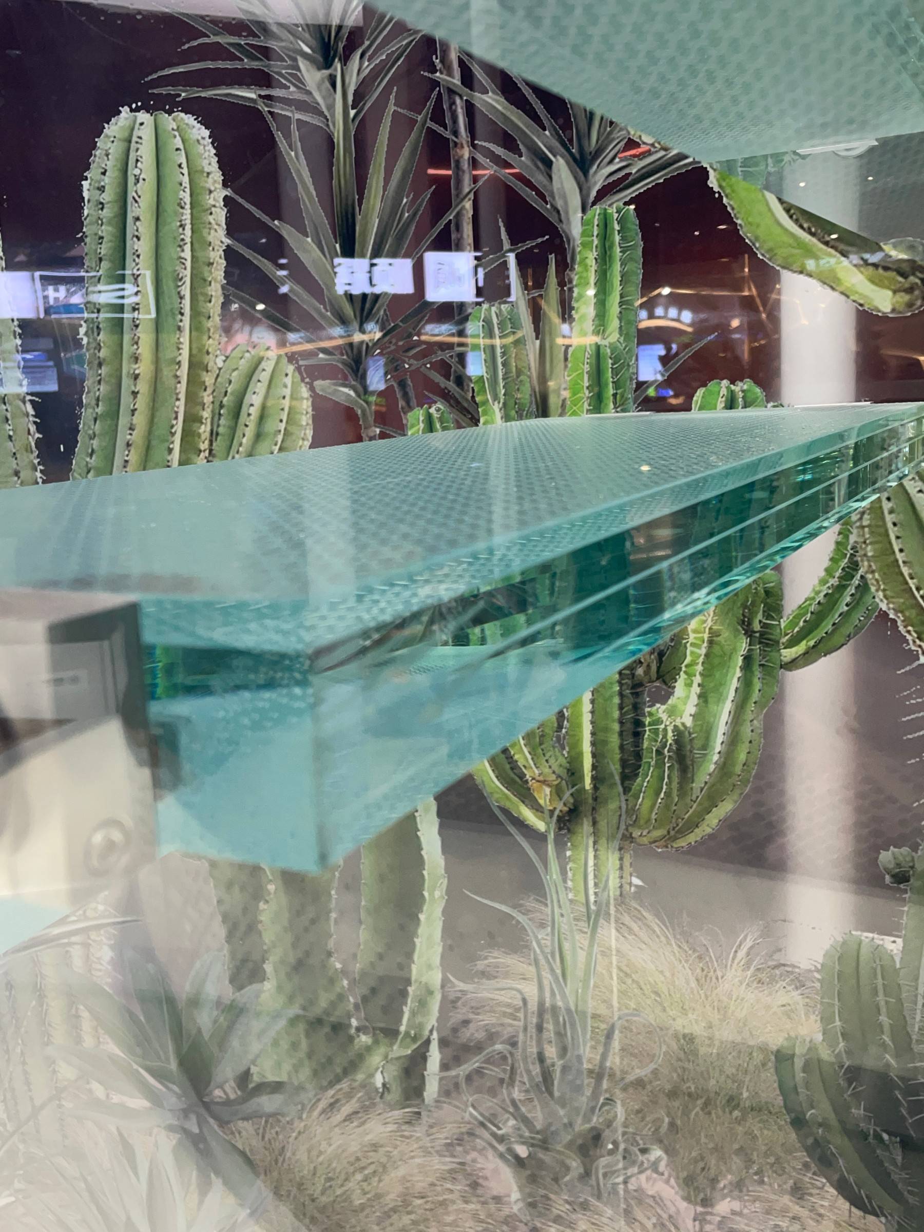Glass staircase