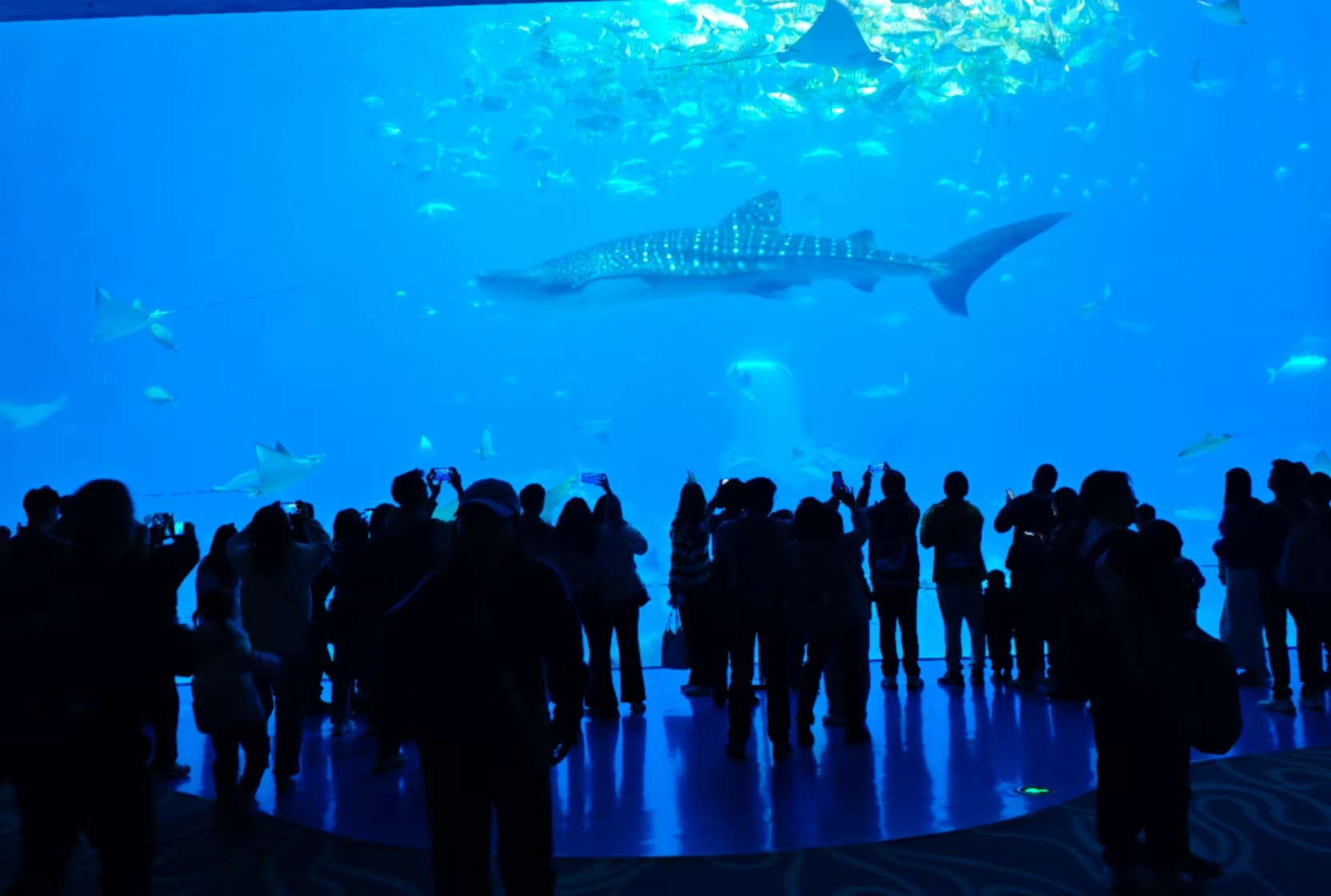 Aquarium glass